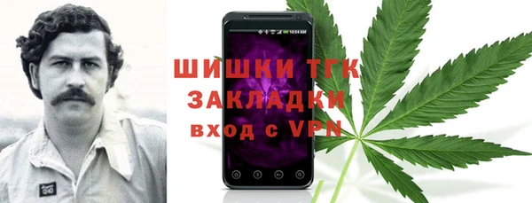 мдпв Коряжма