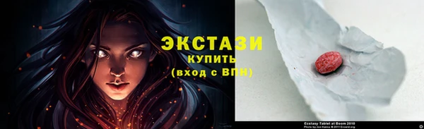 индика Новый Уренгой